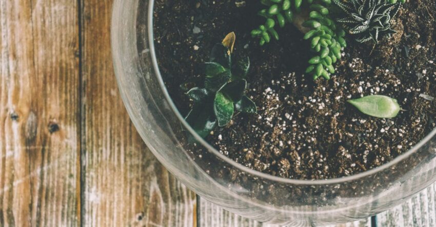 Mi a perlit? kertépítés megoldás vulkáni üveg